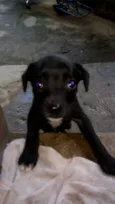 Não tem