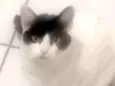 Nina