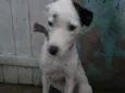Vida