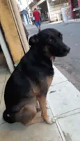 Pretinha
