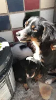 Bella