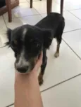 Bella