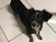 Bella
