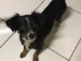Bella