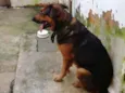 SPOT