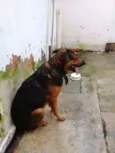 SPOT