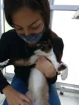 Bombom