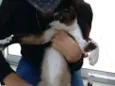 Bombom