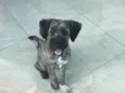 Bambam