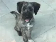 Bambam