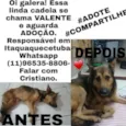 Valente