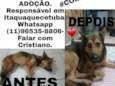 Valente