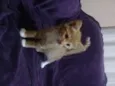 Bebês
