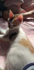 Mia