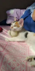 Mia