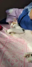Mia