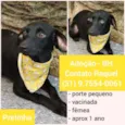 Pretinha 