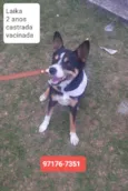Laika