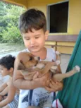 Vaquinha