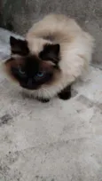 Zeus