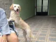 Lorenzo