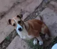 Salsa
