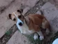 Salsa