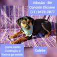 Calebe 