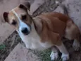 Salsa