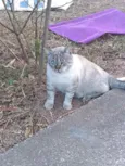 Nao sei 