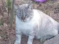 Nao sei 
