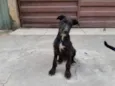 Barthô