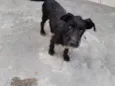Barthô