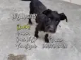 Barthô 