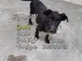 Barthô