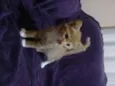 Bebês