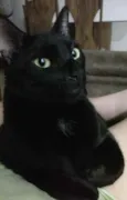 Não sei 