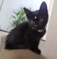 Lua
