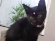 Lua