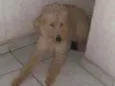 Boris