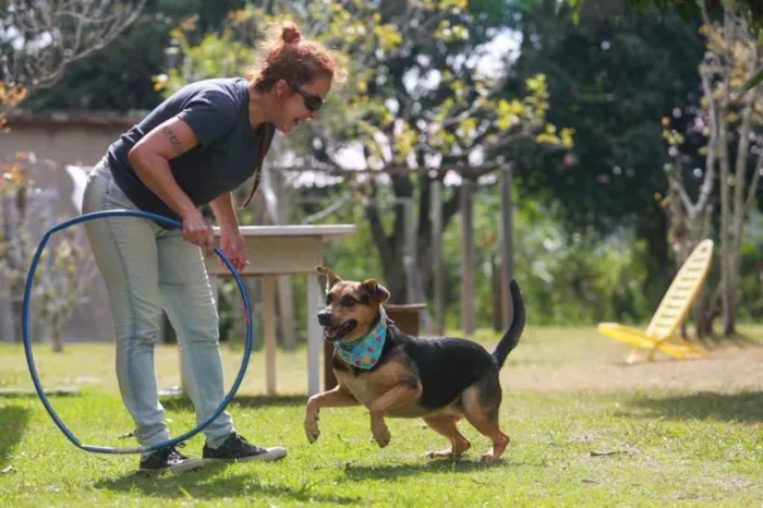 Cachorro ra a  idade 2 anos nome Dolly