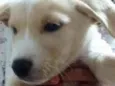 Boby