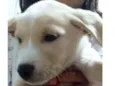 Boby