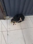Princesa