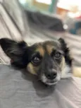 Lupita