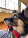 Lupita