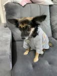 Lupita