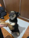 Lupita