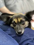 Lupita