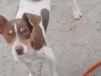seu parsa 2